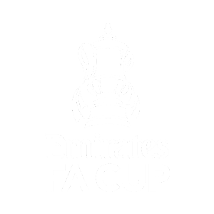 Fa Cup