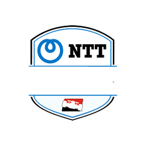 IndyCar