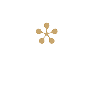 Premier Padel