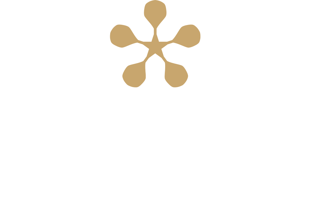 Premier Padel