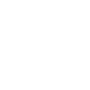 3F Superliga